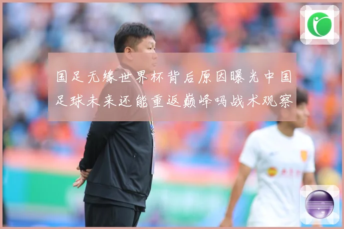 国足无缘世界杯背后原因曝光中国足球未来还能重返巅峰吗战术观察