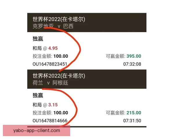 热门世界杯竞猜平台推荐及玩法解析全攻略