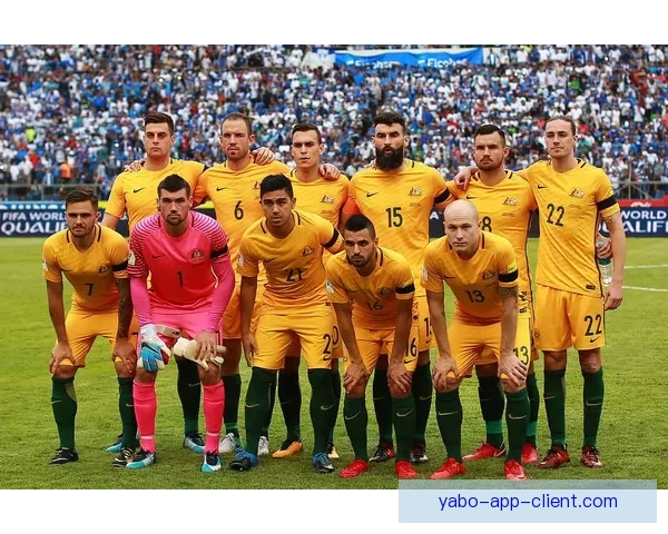 世界杯赛事预测：精准分析各队胜负走势，助你轻松预测比赛结果